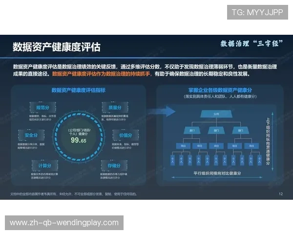 德甲俱乐部的年度支出结构分析及财政健康度评估