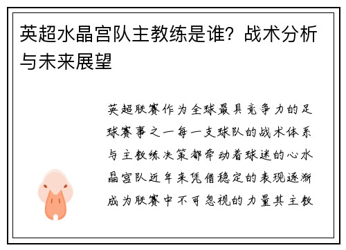 英超水晶宫队主教练是谁？战术分析与未来展望